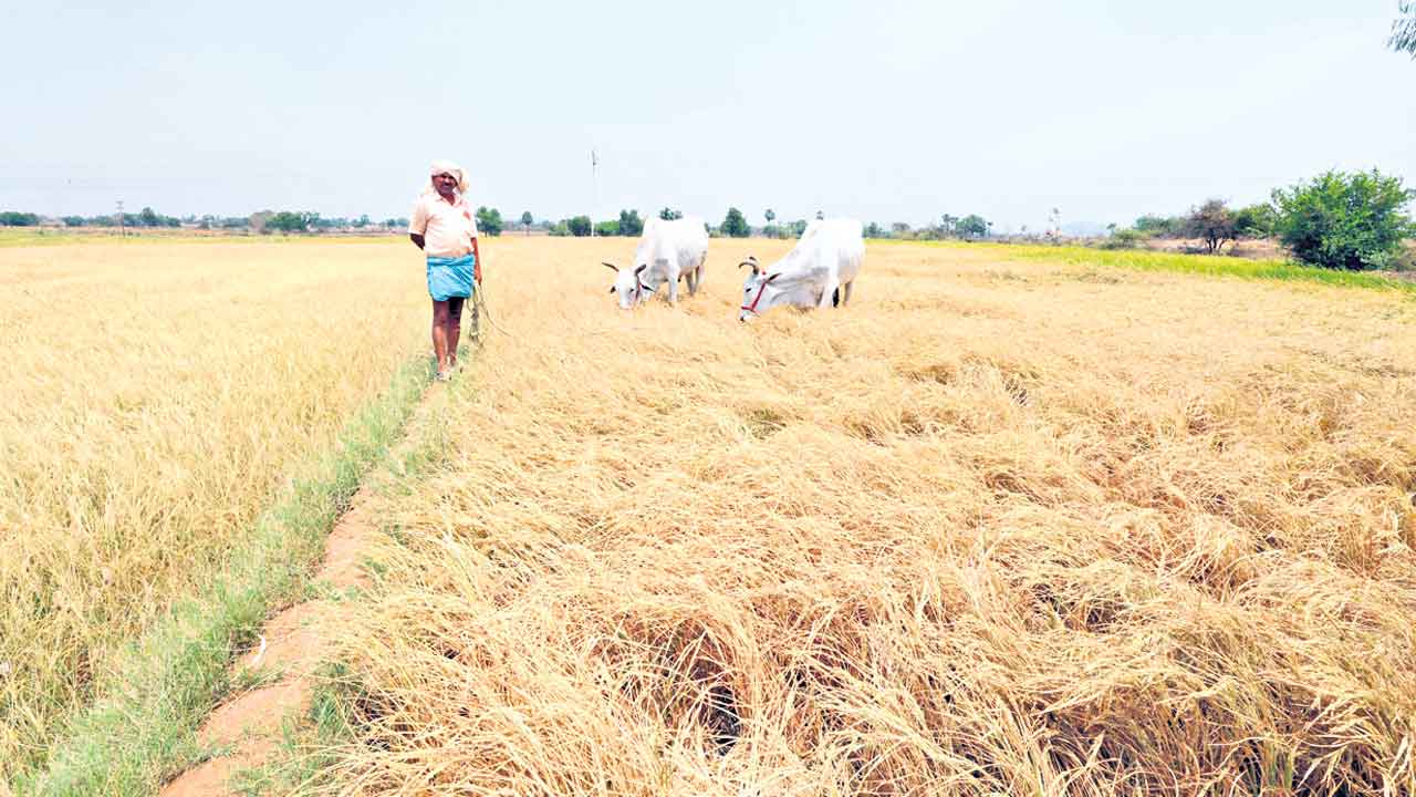 Congress | పంచన్యాయాలు కాదు, వంచనా శిల్పమే!
