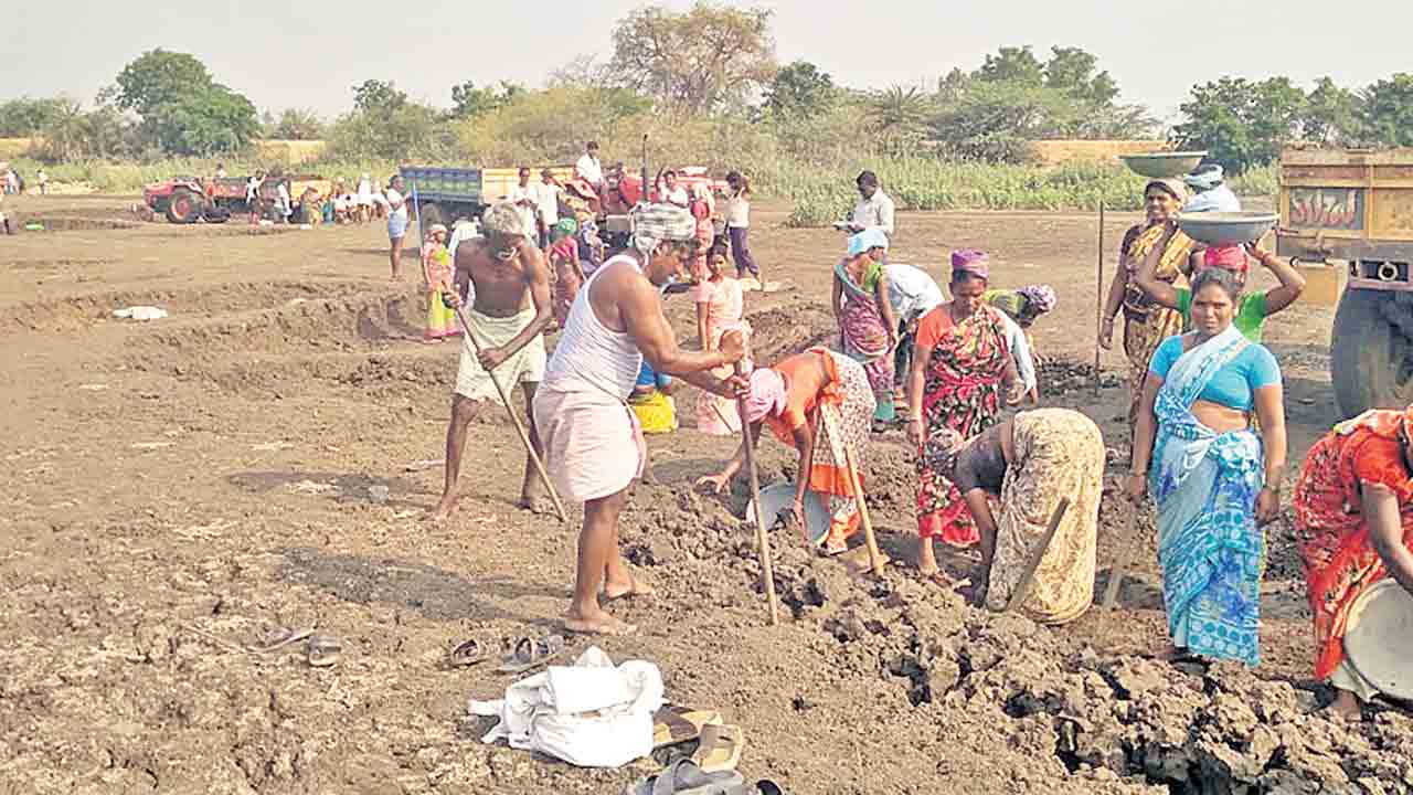జోరుగా ఉపాధిహామీ పనులు