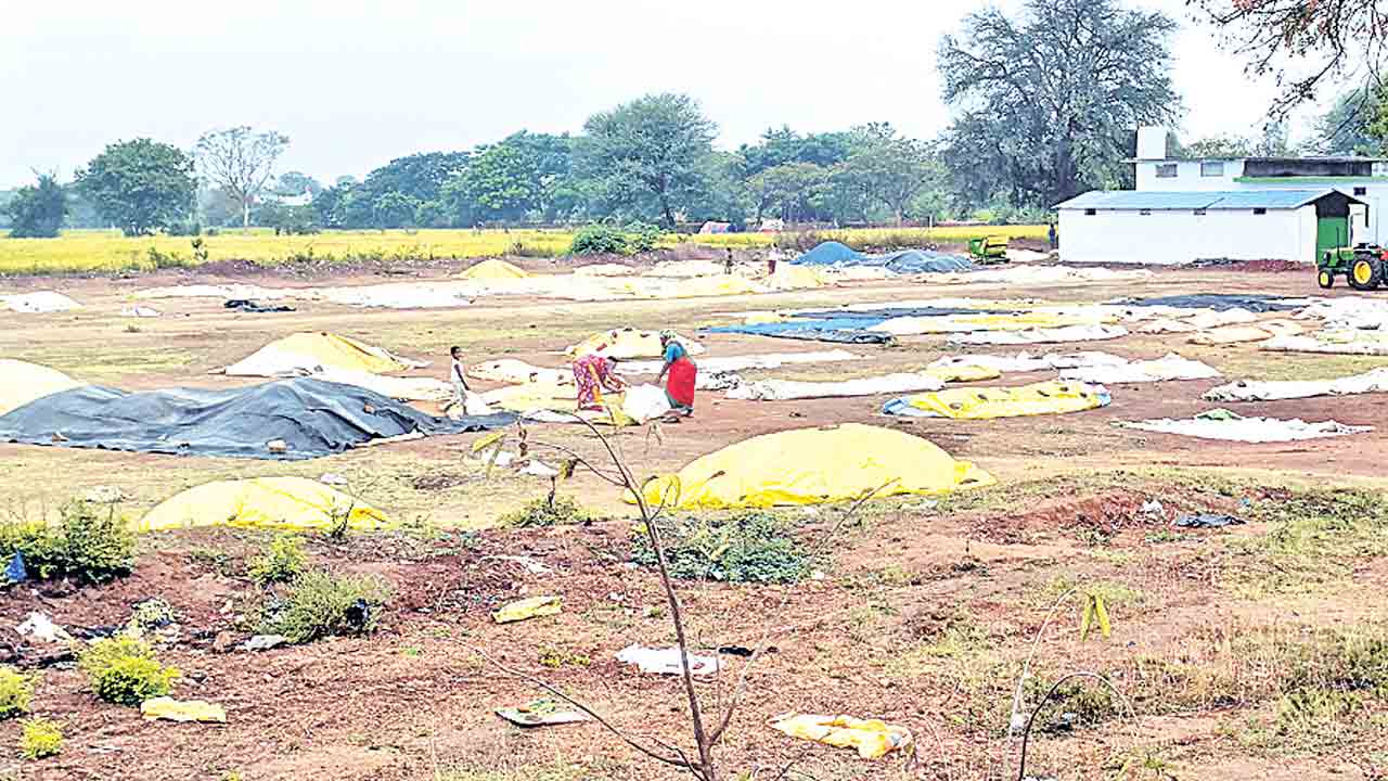 ధాన్యం కొనుగోలు సరే… తరలింపు ఎప్పుడో..?