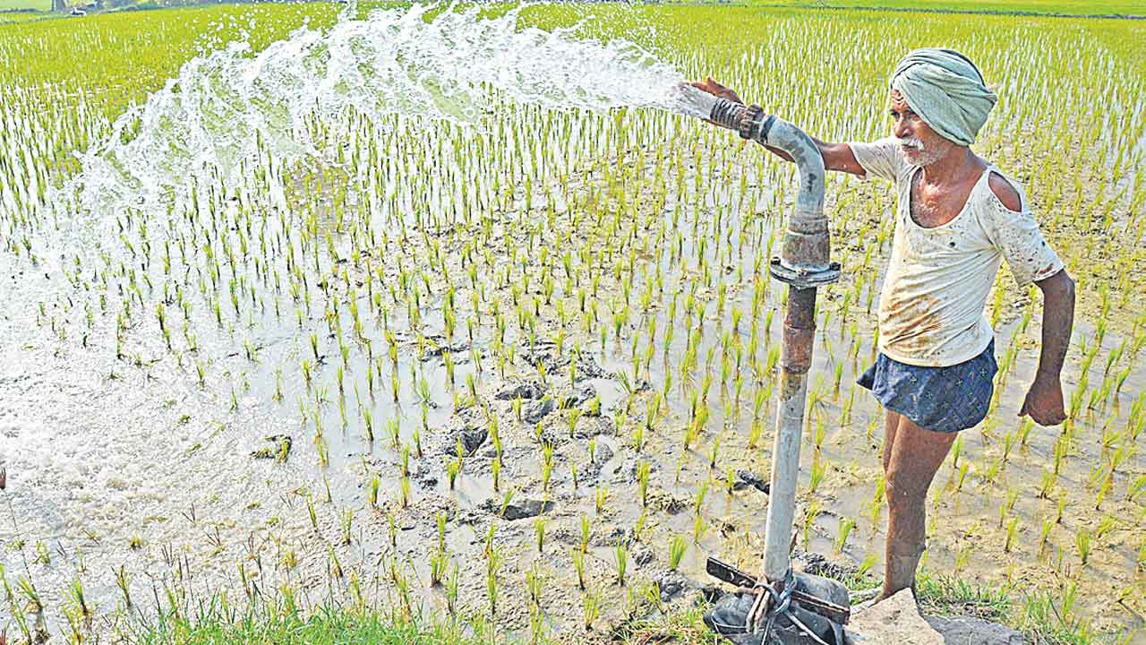 Kisan Samman | కిసాన్‌ సమ్మాన్‌ బక్కచిక్కెన్‌!.. అడ్డమైన కొర్రీలతో ఏటా తగ్గుతున్న లబ్ధిదారుల సంఖ్య