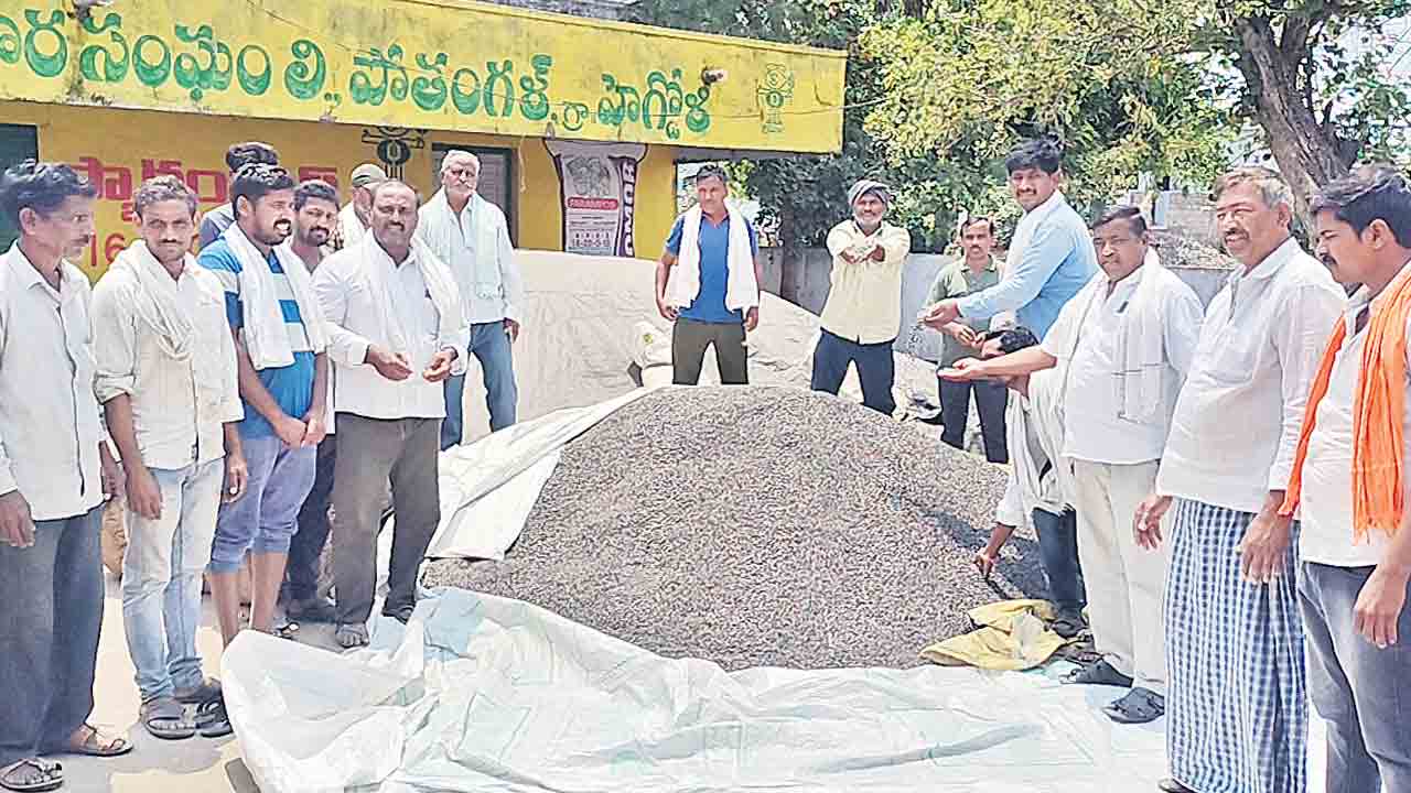 పొద్దు కొనుగోళ్లపై మొద్దు నిద్ర