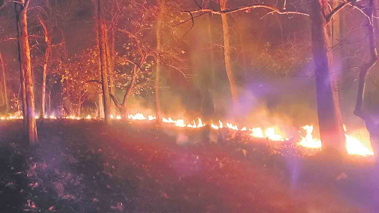 పెంబి అడవుల్లో మంటలు