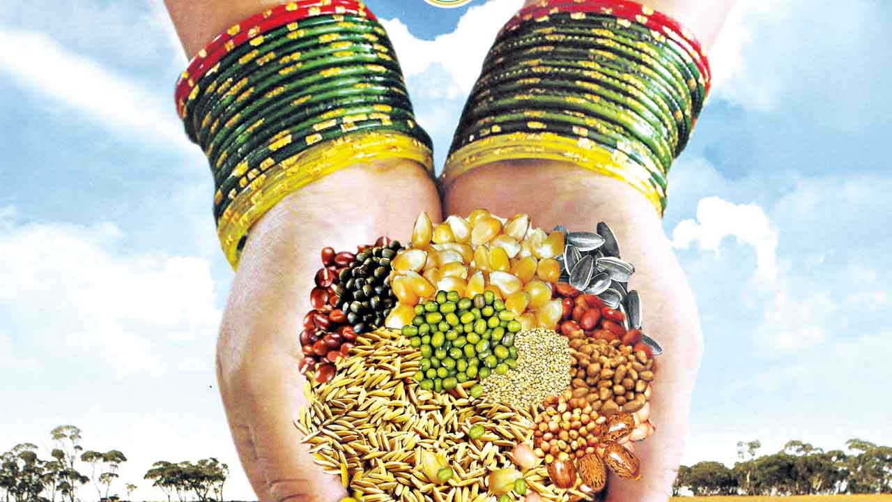 Telangana | అన్నపూర్ణ తెలంగాణ.. ఆహార ధాన్యాల ఉత్పత్తి వృద్ధిరేటులో టాప్‌