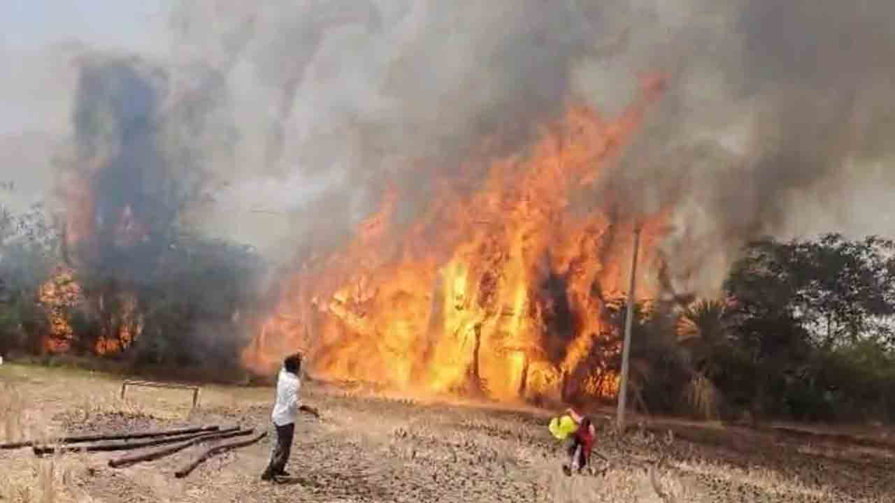 ఈతవనం దగ్ధం