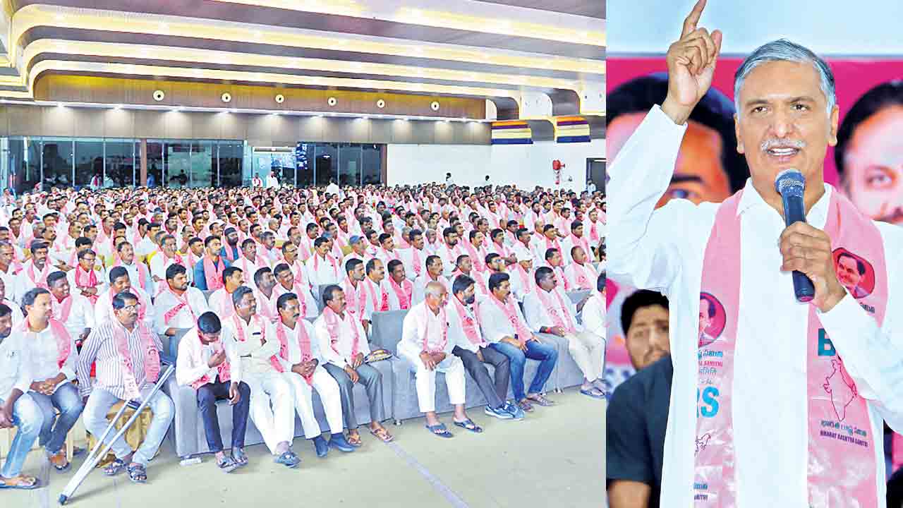 గులాబీ జెండా ఎగురవేద్దాం