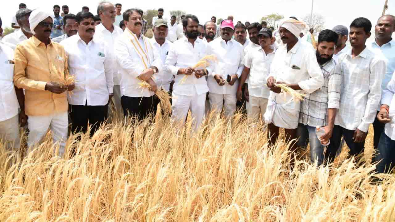 అప్పులు తీర్చలేకే.. ఆత్మ హత్యలు