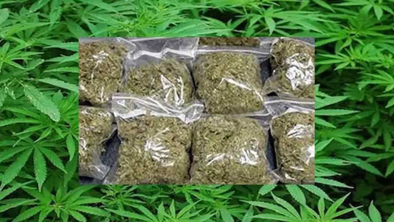 KTR | ‘గ్యారెంటీ’లు అమ‌లు చేయ‌లేక ‘గంజాయి’ సాగా..? కాంగ్రెస్ స‌ర్కార్‌పై కేటీఆర్ ఫైర్