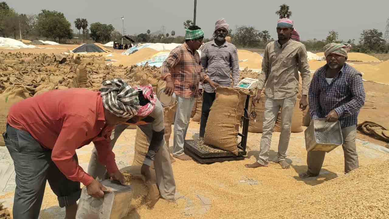 రెడ్డి కాలనీలో ధాన్యం కొనుగోళ్లు షురూ