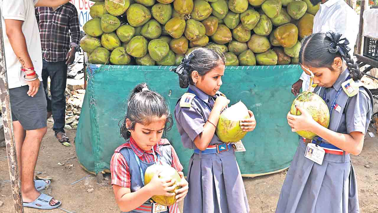 GHMC | రాష్ట్రంలో వర్షాలు.. గ్రేటర్‌లో తగ్గిన ఉష్ణోగ్రతలు