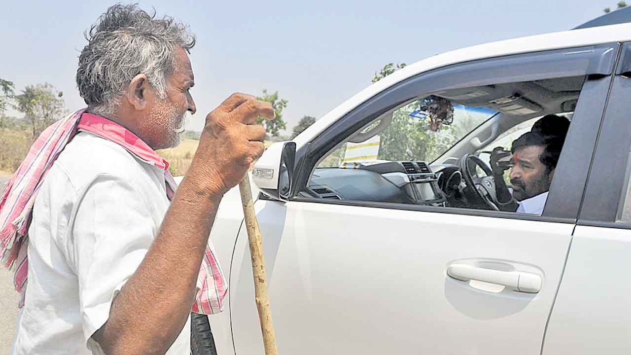 ఎండిన పంటలను గొడ్లు మేస్తున్నయి