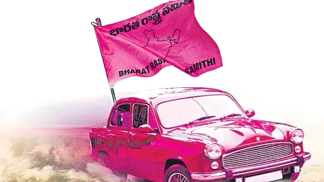 గులాబీ దూకుడు