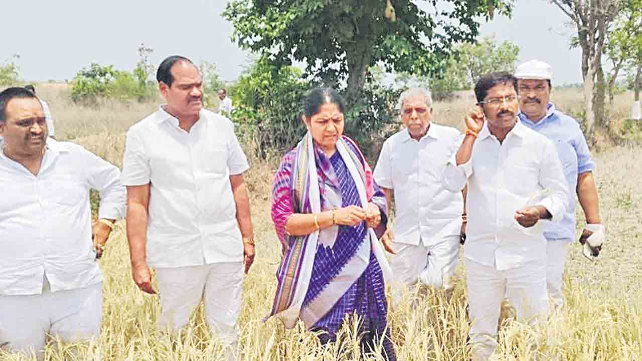 కరెంట్‌ లేక..ఎండిన వరి పంట