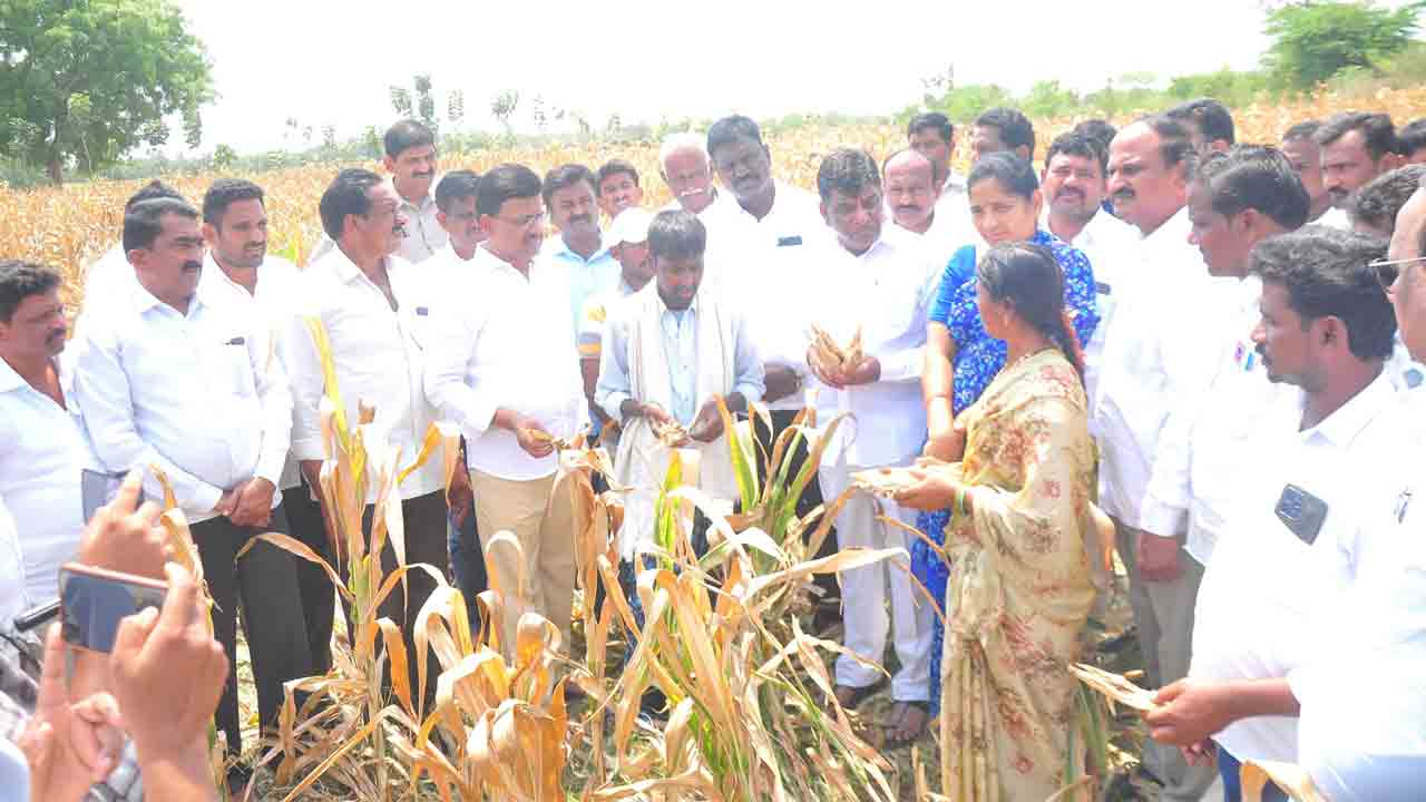 ఇది కాంగ్రెస్‌ తెచ్చిన కరువు