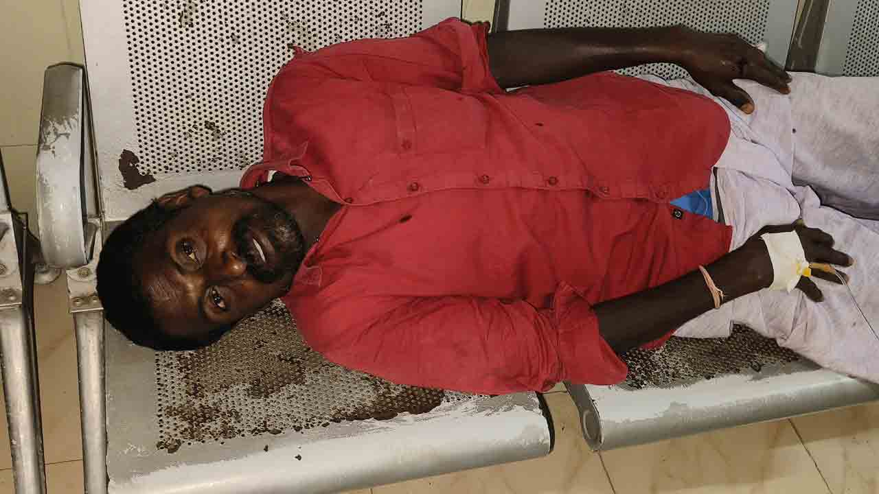 పిచ్చి కుక్క దాడి