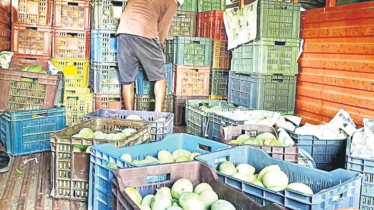 మామిడి రైతుకు నిరాశే..