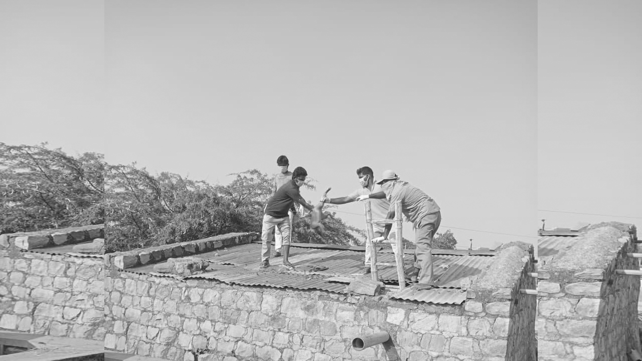 Monkey Died | తాగునీటి ట్యాంకులో కోతుల కళేబరాలు.. ఆందోళనలో జనం..!