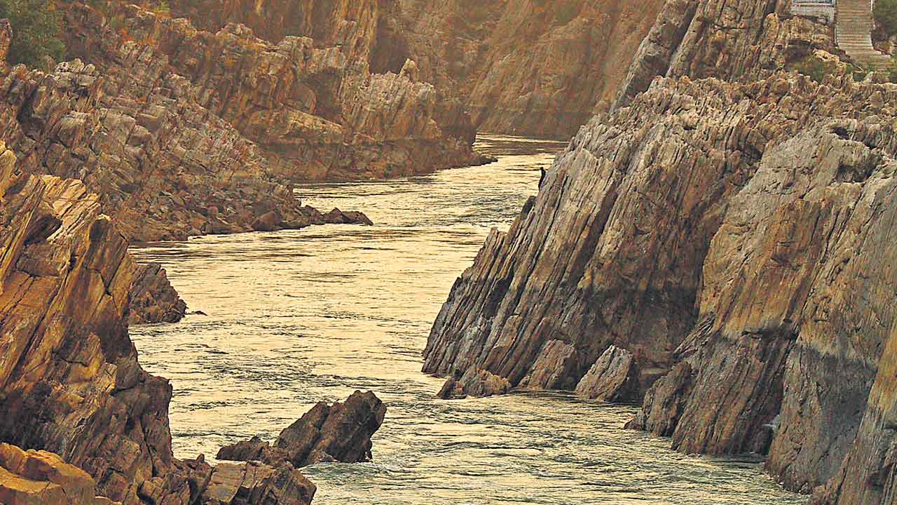 Narmada Teer