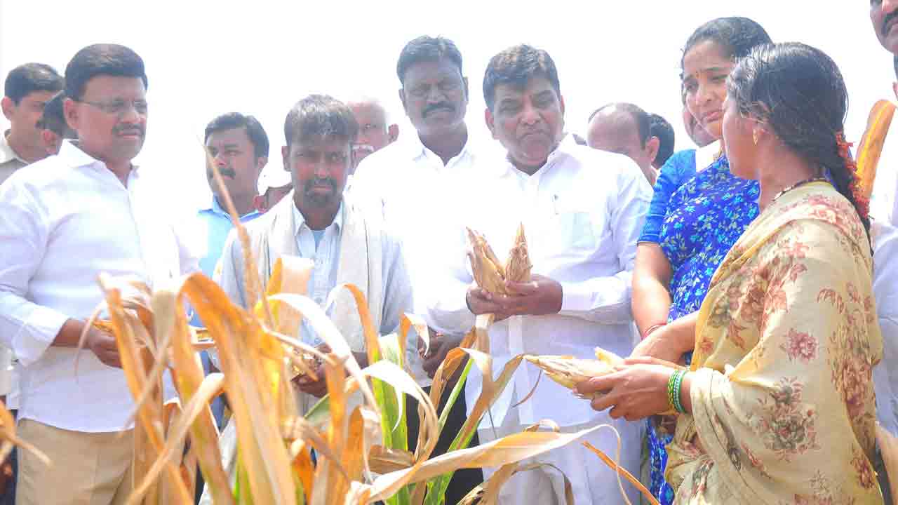 ఇది కాంగ్రెస్‌ తెచ్చిన కరువే