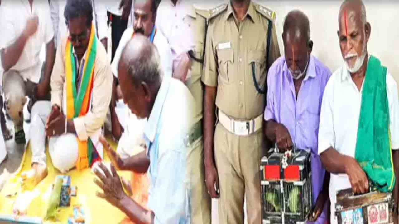 parrot fortune teller arrest | అభ్యర్థి గెలుపుపై చిలుక జోస్యం.. పక్షులను బంధించినందుకు జ్యోతిష్కులు   అరెస్ట్‌