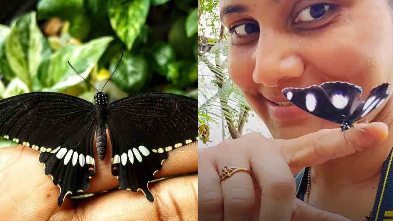 Priyanka | బటర్‌ ఫ్లై మమ్మీ.. సీతాకోక చిలుకల కోసం ఇంటి బాల్కనీకి పచ్చకోక తొడిగిన ప్రియాంక