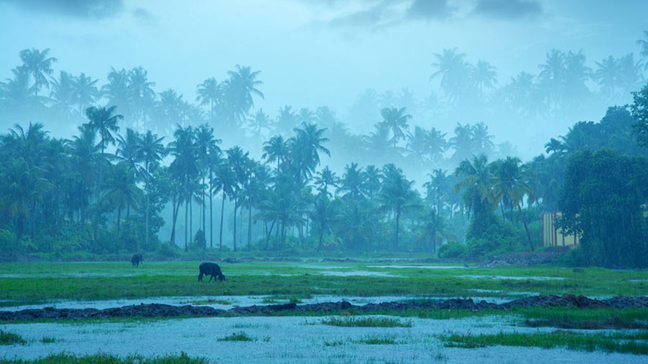IMD | చల్లని కబురు చెప్పిన వాతావరణ శాఖ.. ముందుగానే రుతుపవనాలు..!