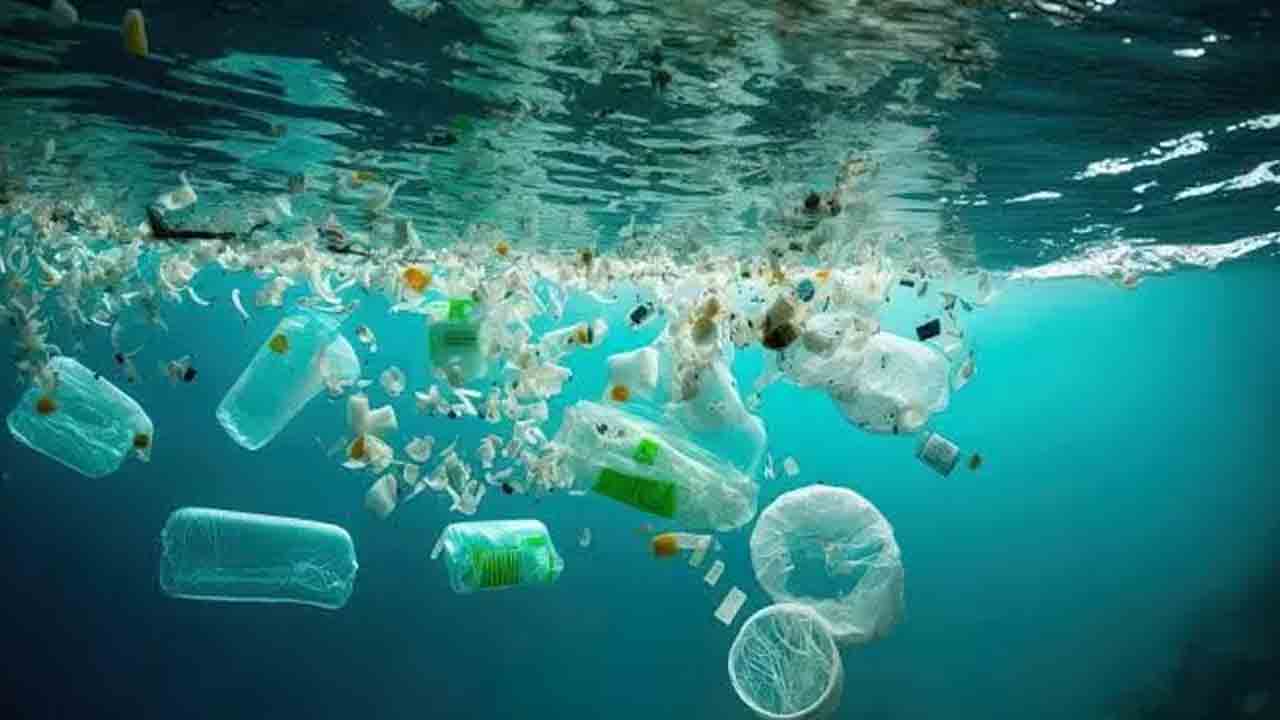 Plastic Waste | ప్లాస్టిక్‌ రిజర్వాయర్లుగా సముద్రాలు