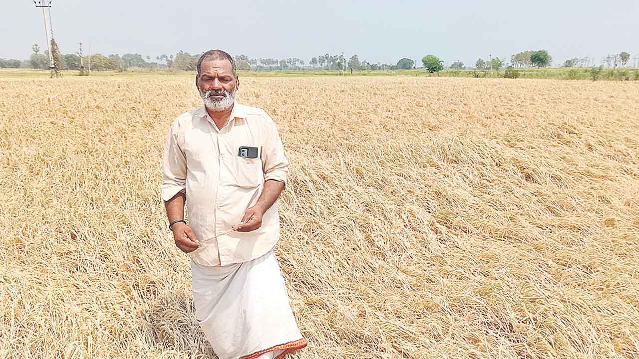 కాగితాల్లోనే నీళ్లు.. కాలువల్లో లేవు