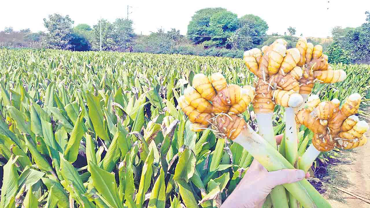 భారీ గేమ్‌ ప్లాన్‌..