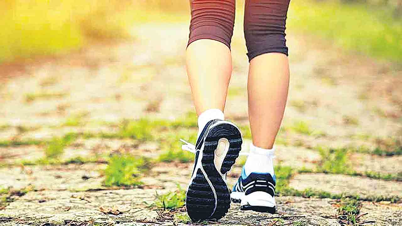 Health Tips | ఇలా చేస్తే చాలా రోగాలకు చెక్‌ పెట్టొచ్చు!