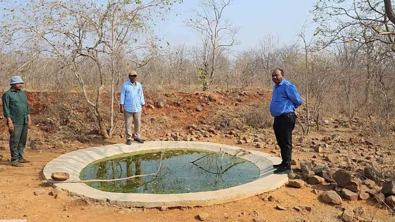 వన్య ప్రాణుల సంరక్షణకు చర్యలు : డీఎఫ్‌ఓ