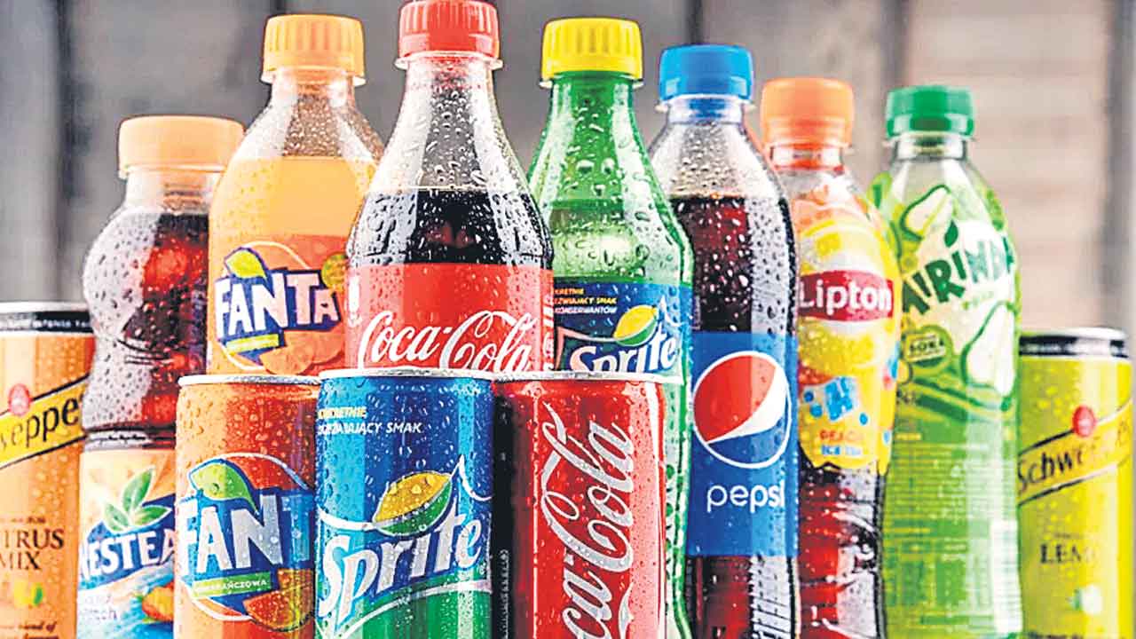 Cool Drinks | క్రమంగా పెరుగుతున్న ఉష్ణోగ్రతలు.. కూల్‌ మార్కెట్‌కు కిక్కు