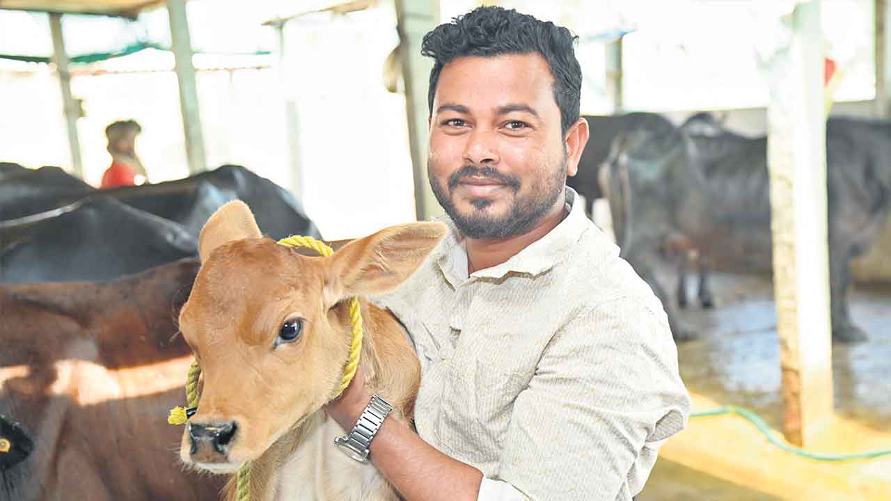 Success Story | ఇంజినీరింగ్‌ వద్దనీ.. డెయిరీ ఫామ్‌ ముద్దనీ!