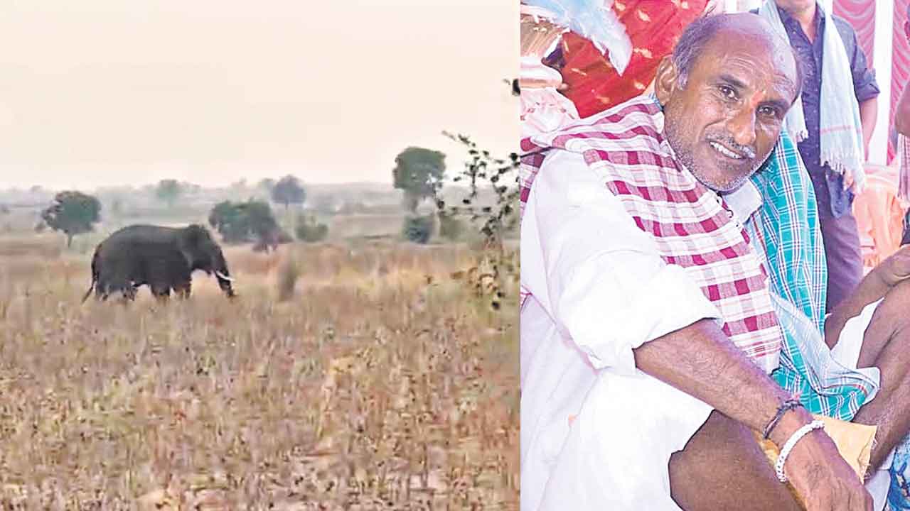 ఏనుగు దాడిలో మరో రైతు మృతి