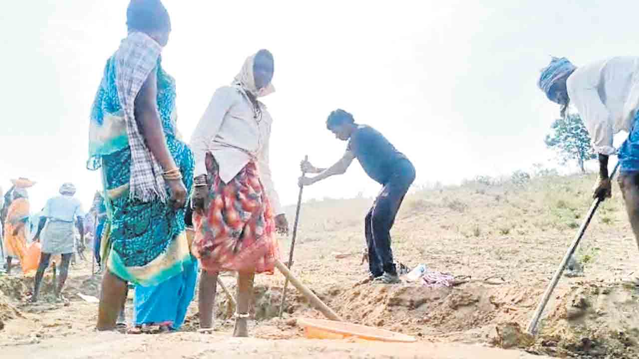 నీరు లేదు.. నీడ లేదు..