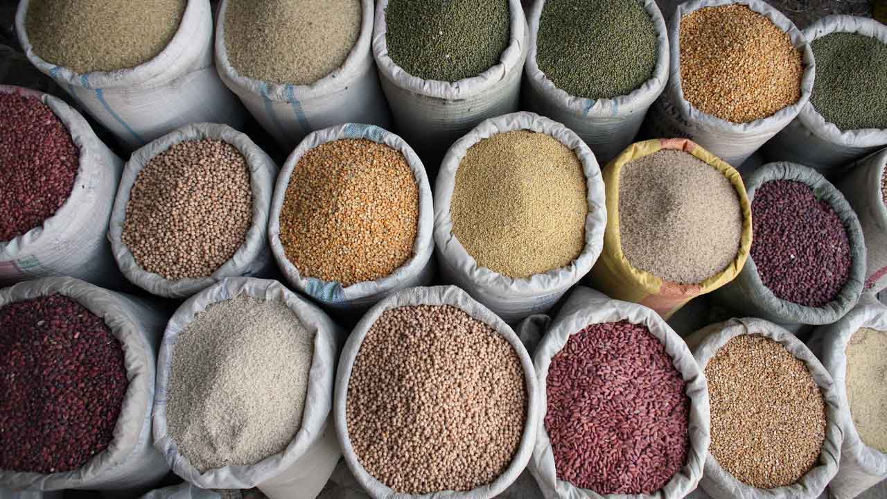 నకిలీ విత్తనాల కట్టడి అవసరం