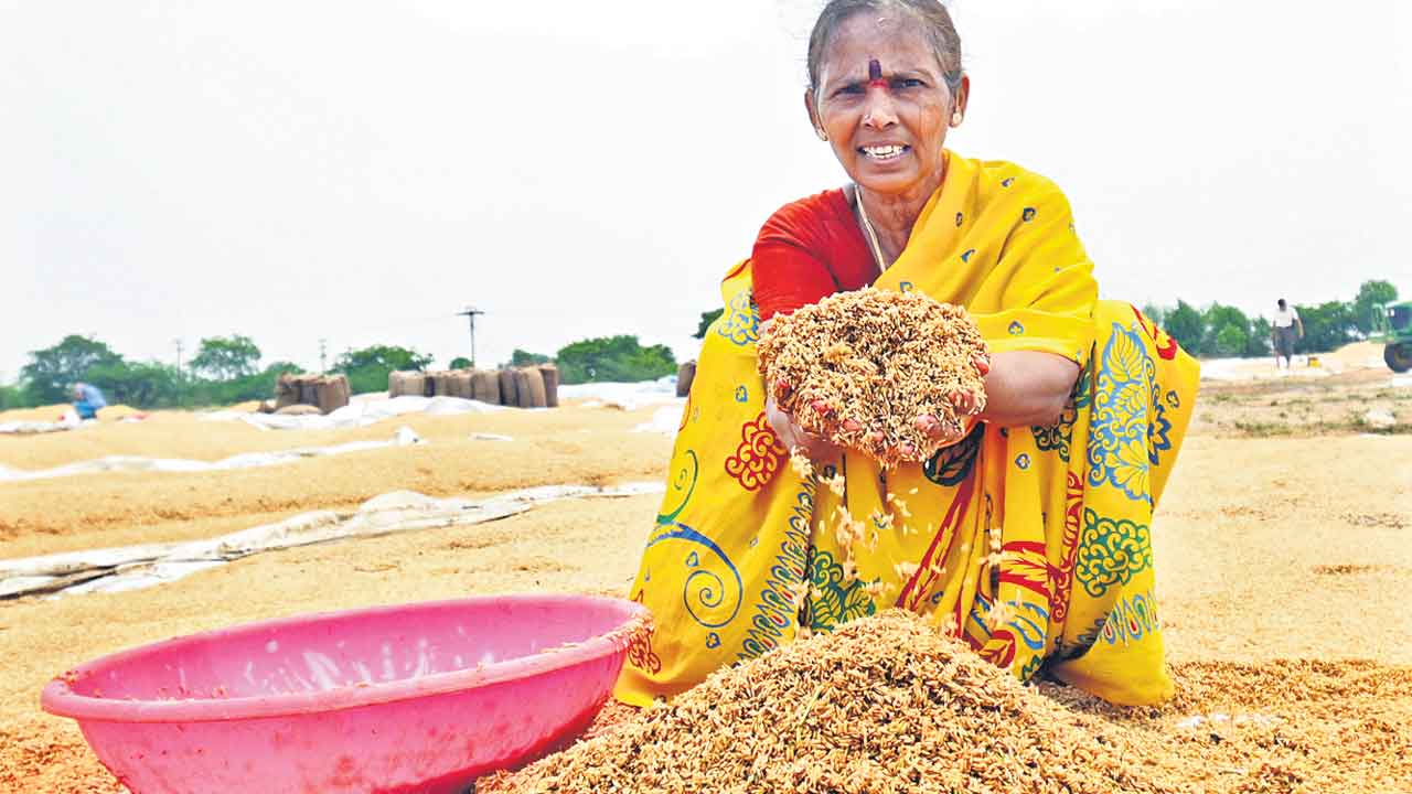 Congress | వ్యవసాయమే ఓ వైకుంఠపాళి.. కాంగ్రెస్‌ పాలనలో ఎదురవుతున్న అడుగుకొక పాము గండం