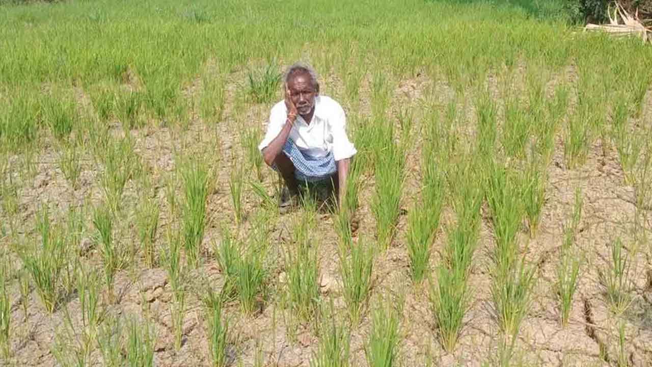 నికార్సయిన నాయకుడు