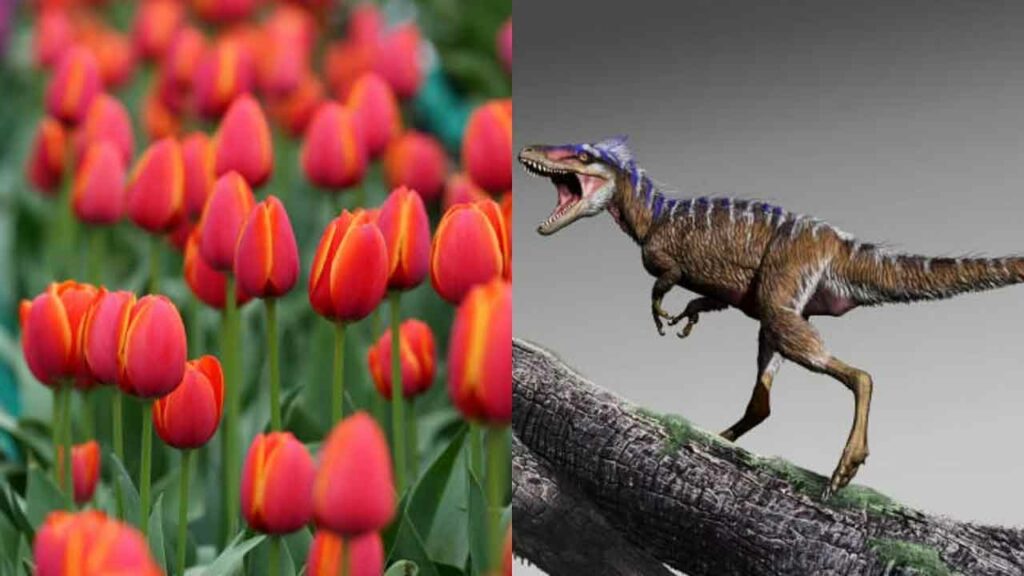 Flowers And Dinosers