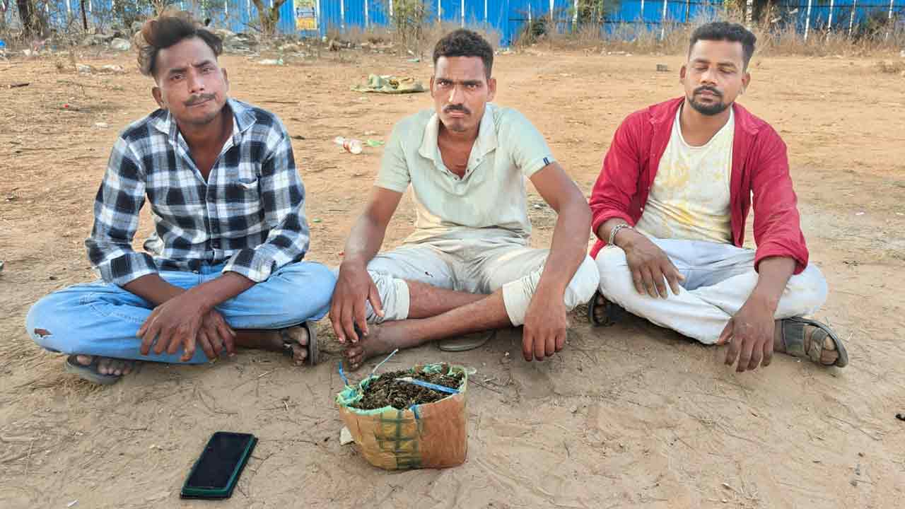 Ganja | దుండిగల్‌ పీఎస్‌ పరిధిలో గంజాయి పట్టివేత.. ముగ్గురు అరెస్ట్‌