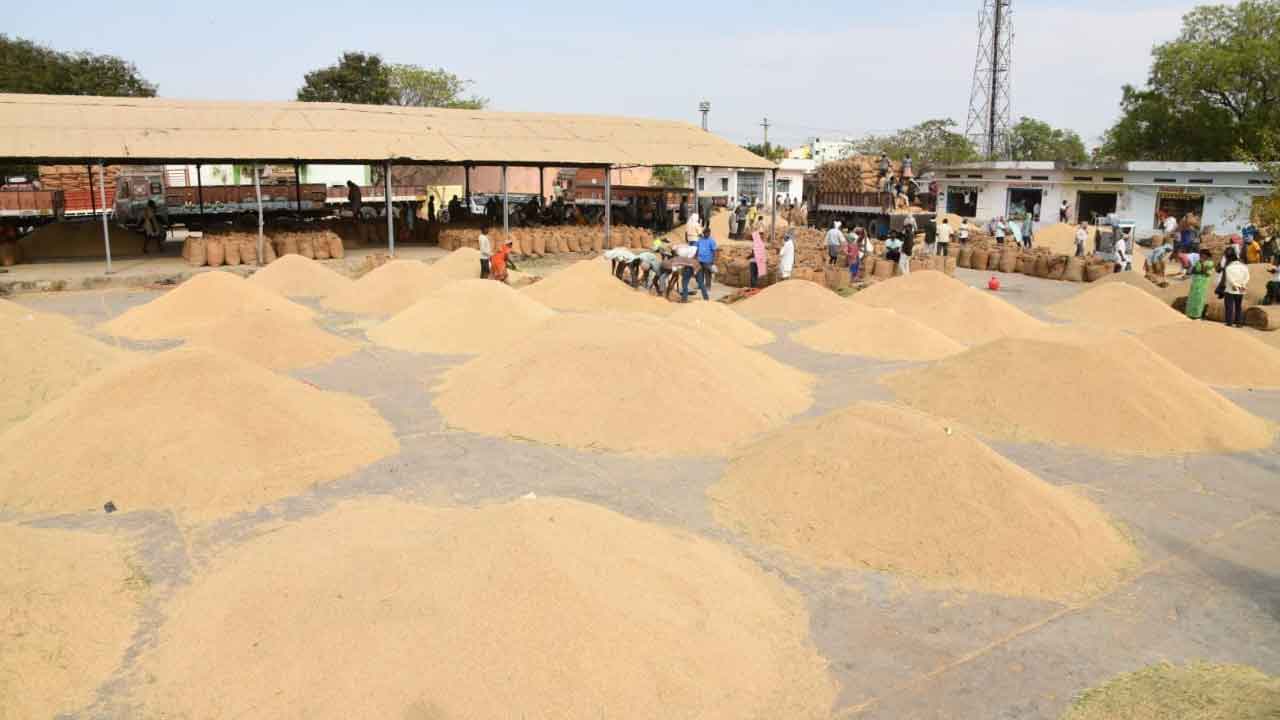 జోరుగా ధాన్యం కొనుగోళ్లు