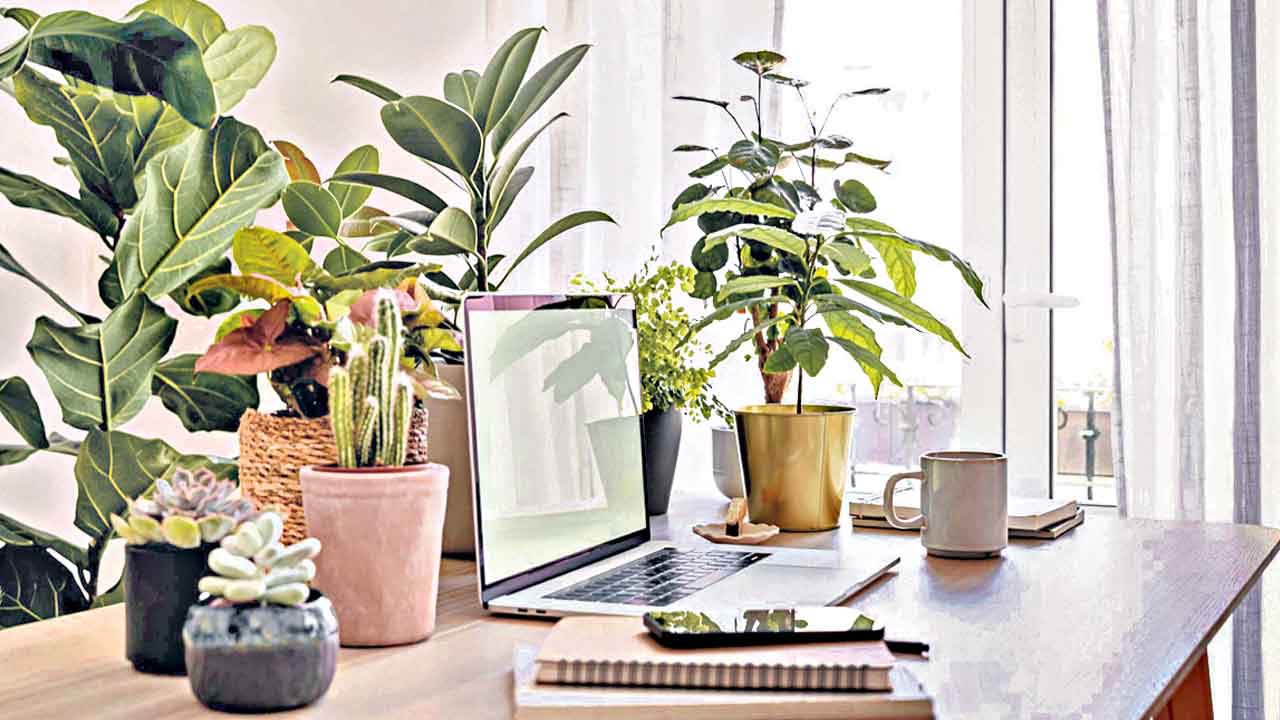 Health Tips | పని ప్రదేశాల్లో ఒత్తిడికి గురవుతున్నారా?.. అయితే ఇలా చేయండి..