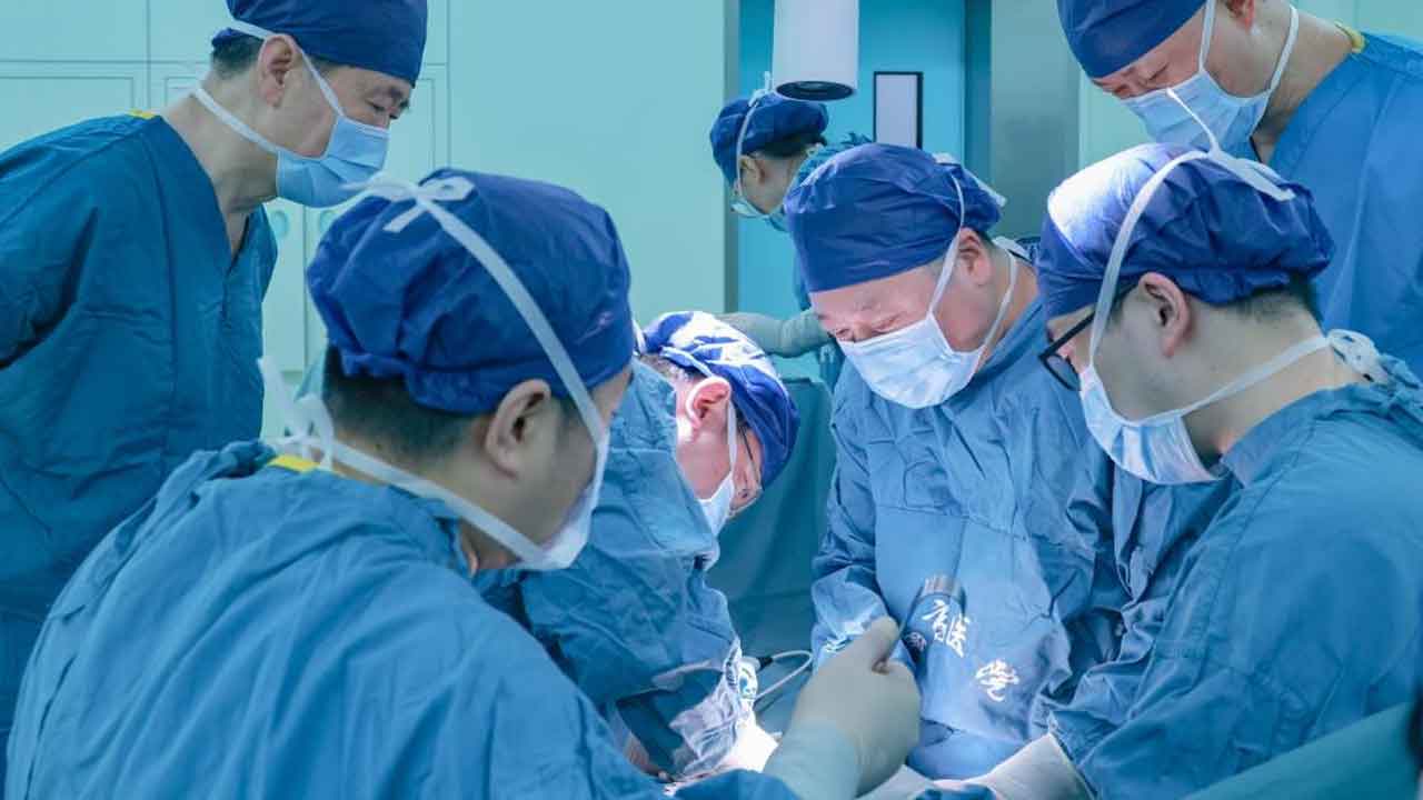 China | బ్రెయిన్‌ డెడ్‌ వ్యక్తికి పంది కిడ్నీ.. 13 రోజుల నుంచి నిరంతరాయంగా పనిచేస్తున్న మూత్రపిండం