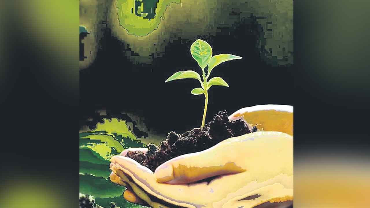 దోసెడు మట్టి కావాలి