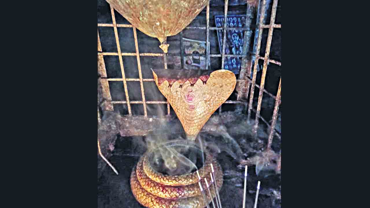 Saleshwaram Jatara | తెలంగాణ అమరనాథ్‌ యాత్ర.. నేటి నుంచి సలేశ్వరం జాతర