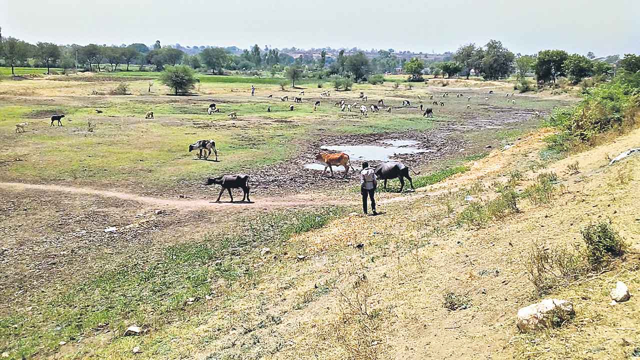మురిసినం