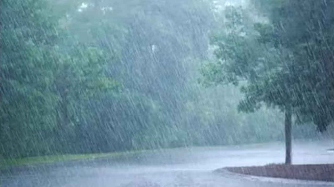 Rains | ఆదిలాబాద్ జిల్లాలో కురిసిన చిరు జల్లులు.. ఊపిరి పీల్చుకున్న జనం