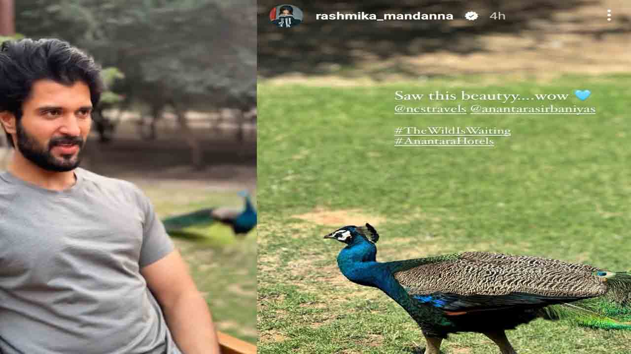 Vijay Devarakonda | మళ్లీ దొరికిన విజయ్ దేవరకొండ, రష్మిక.. ఈసారి ఎక్కడంటే.?