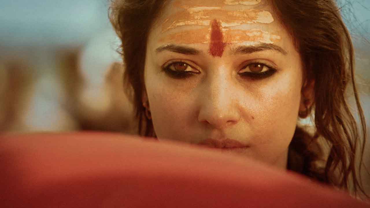 నాగసాధువు దుష్టశిక్షణ