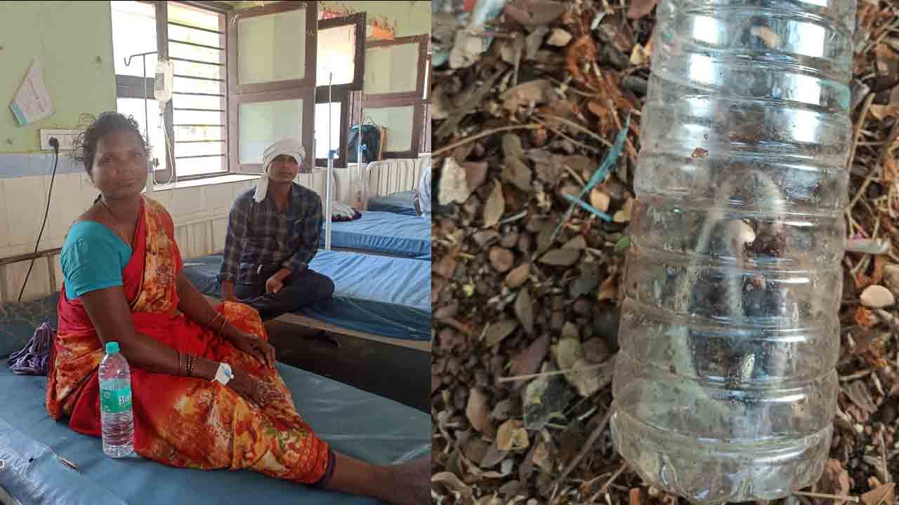 Snake Bite | పాము కరిచిందని దాన్ని చంపి ఆస్పత్రికి తీసుకెళ్లిన మహిళ