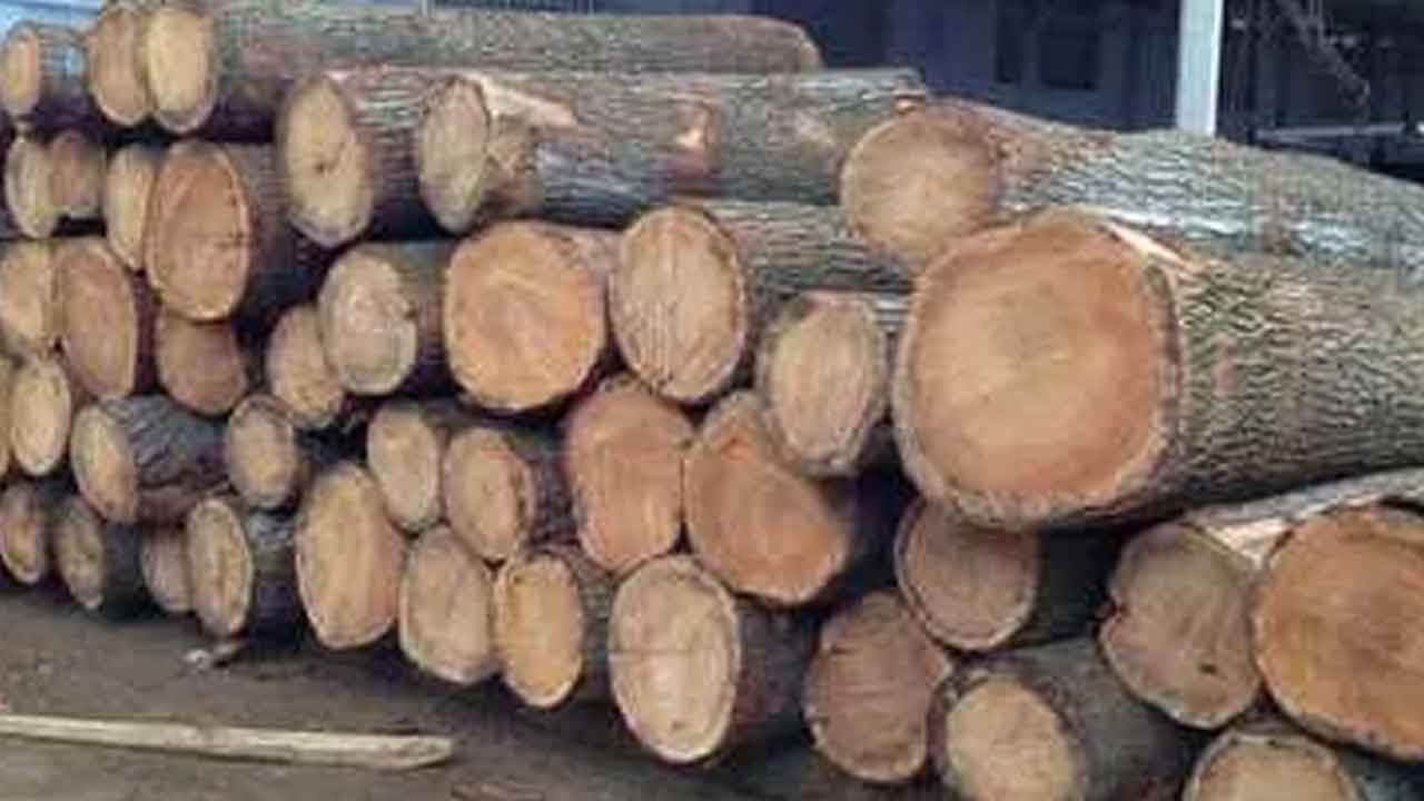 Yellandu | ఇల్లెందులో అక్రమంగా తరలిస్తున్న నారవేప కలప పట్టివేత